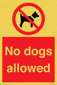 No dogs allowed